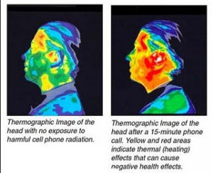 imageofeffectsofcellphoneradiation-2